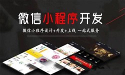 软件开发公司、定制微信小程序开发，商家需要了解哪些？锐智互动软件开发
