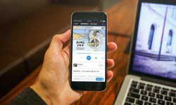 北京软件开发、知识付费华体会(中国)-北京软件开发公司